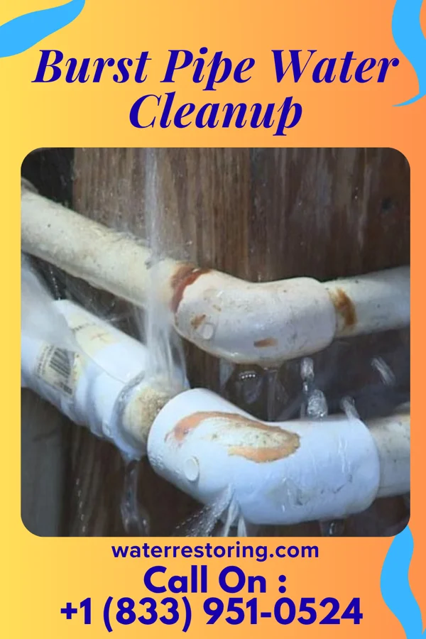 Burst Pipe Water Cleanup in Eagle Grove, IA