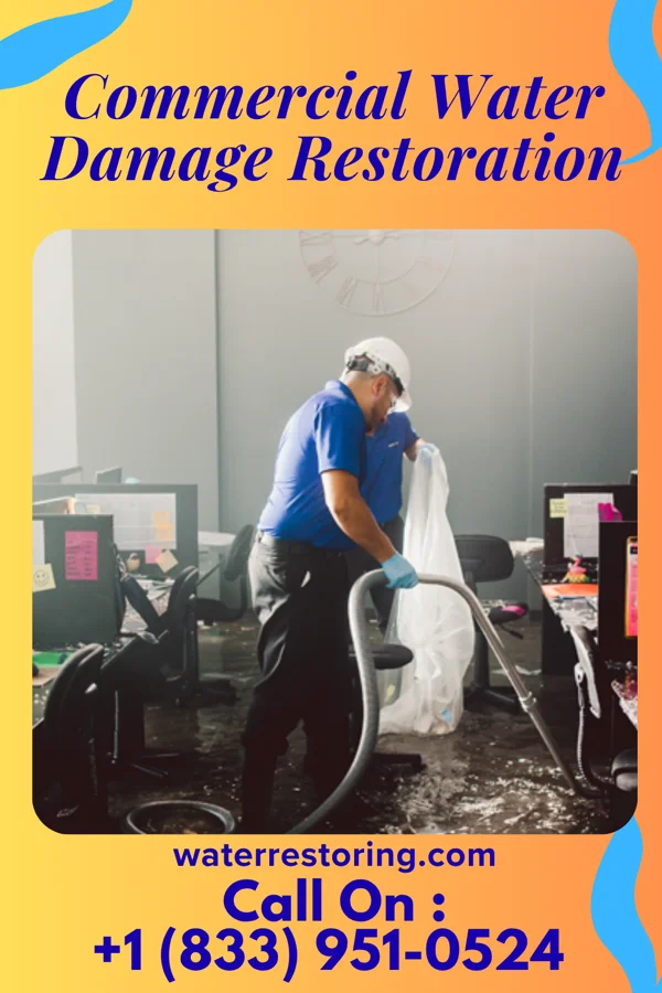 Commercial Water Damage Restoration in Eagle Grove, IA