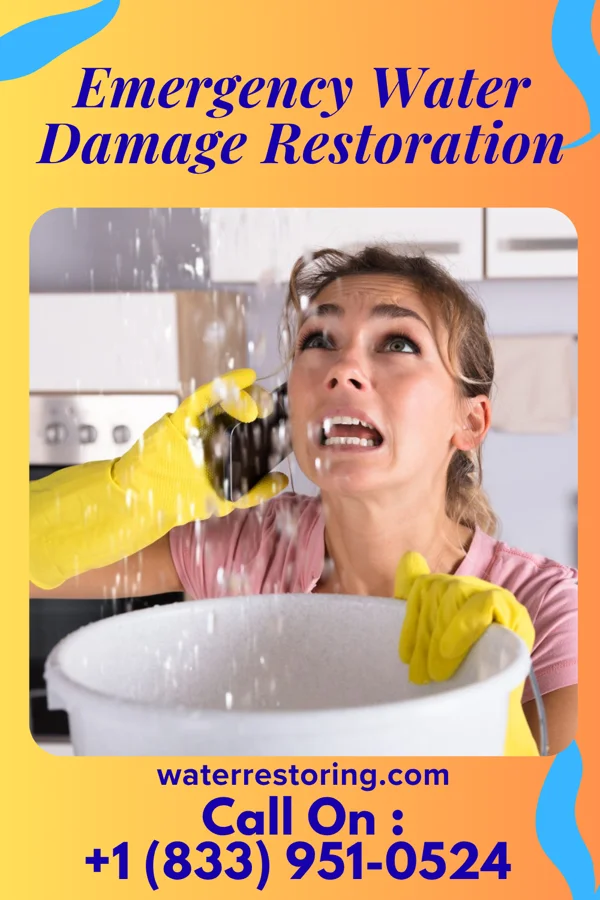 Emergency Water Damage Restoration in Eagle Grove, IA